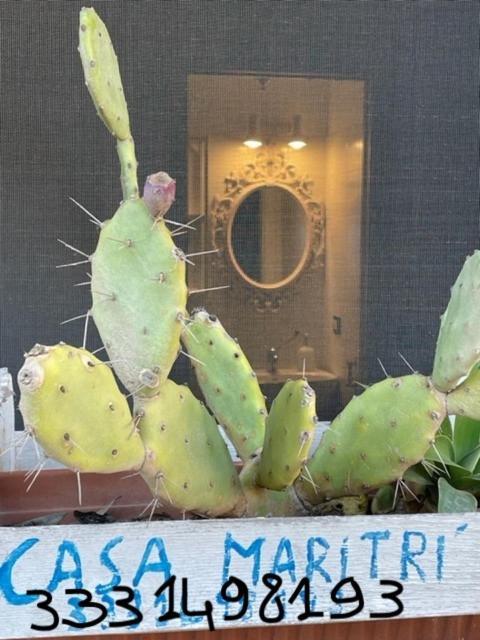Casa Maritri Locazione Turistica Hotel Marzamemi Luaran gambar
