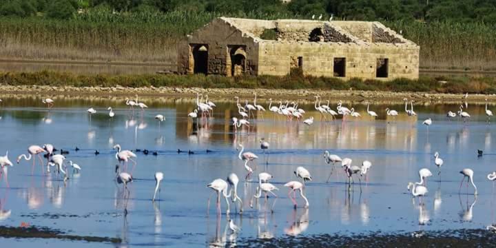 Casa Maritri Locazione Turistica Hotel Marzamemi Luaran gambar